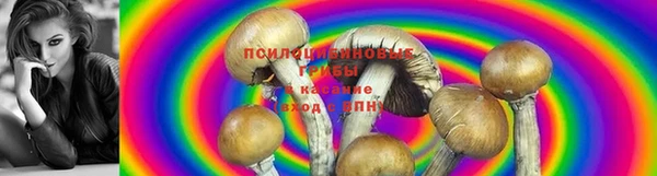 ALPHA PVP Нея