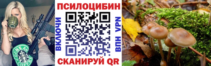 Псилоцибиновые грибы ЛСД  Краснослободск 